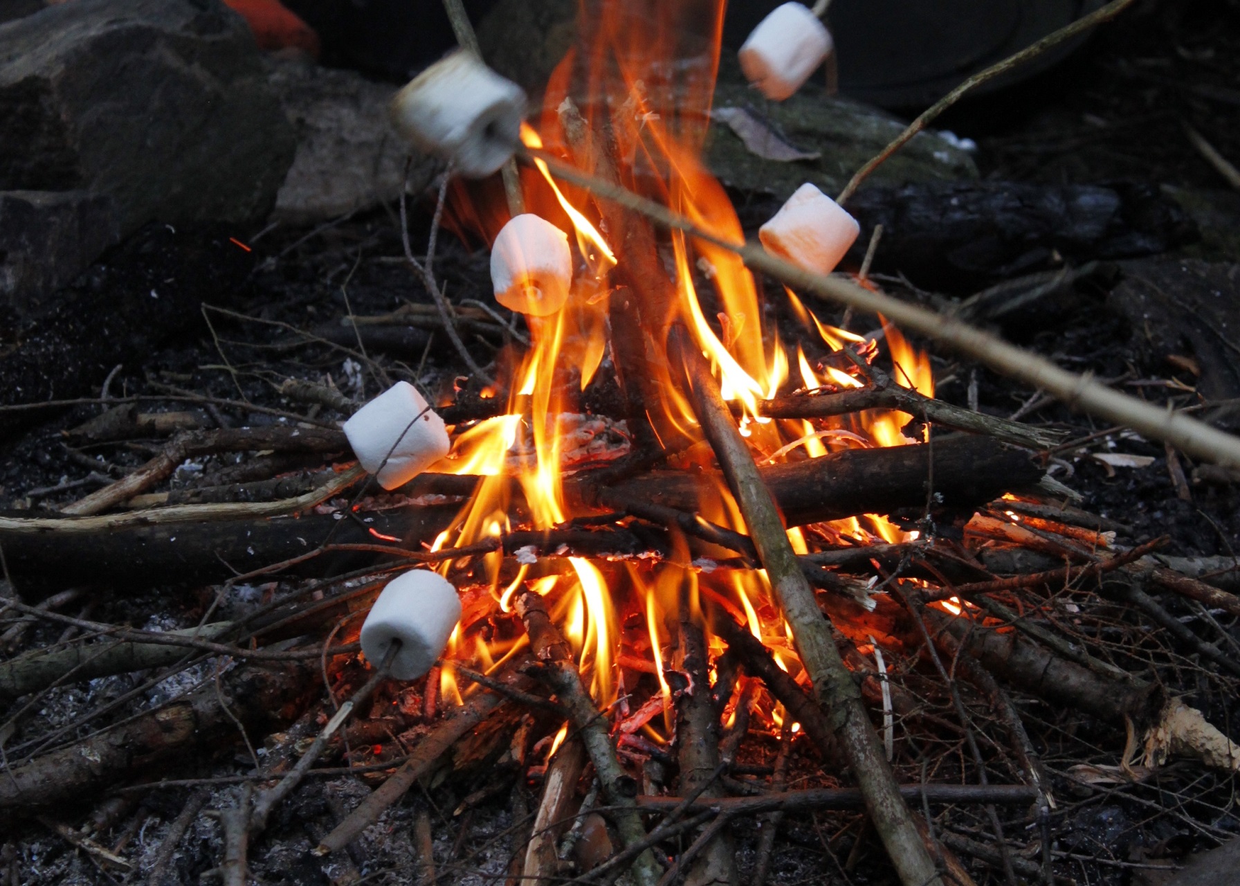 Donate to Help Kids Build Campfire Confidence &amp;