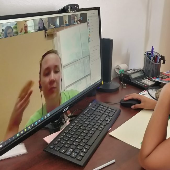 Virtual Visitors Day