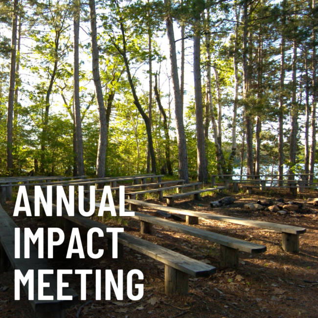 Annual Impact Meeting