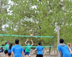 Miller Thomson action shot